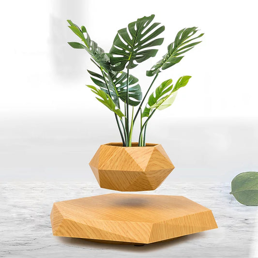 Modern Home Décor - Magnetic Levitating Bonsai Plante