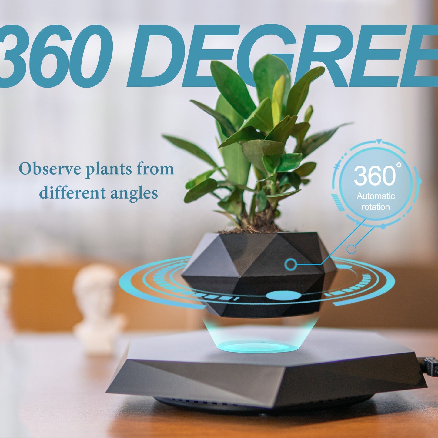 Modern Home Décor - Magnetic Levitating Bonsai Plante