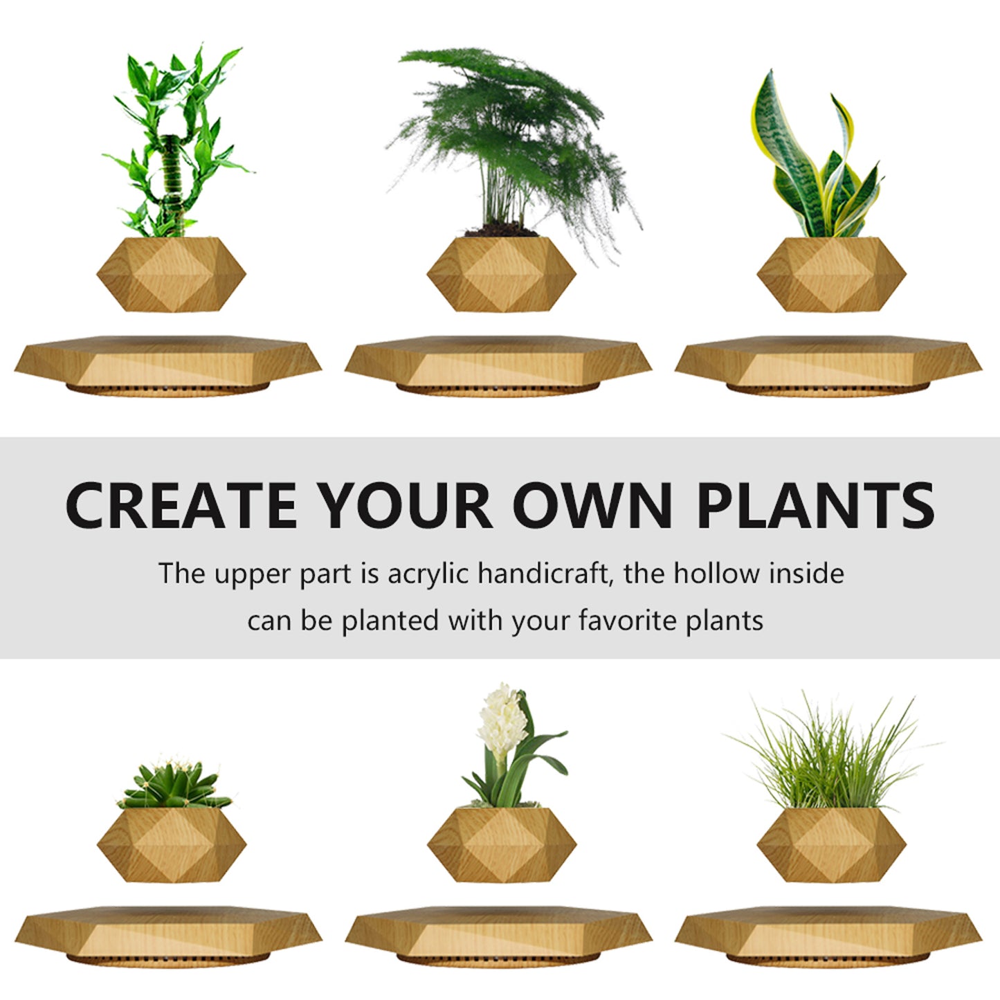 Modern Home Décor - Magnetic Levitating Bonsai Plante